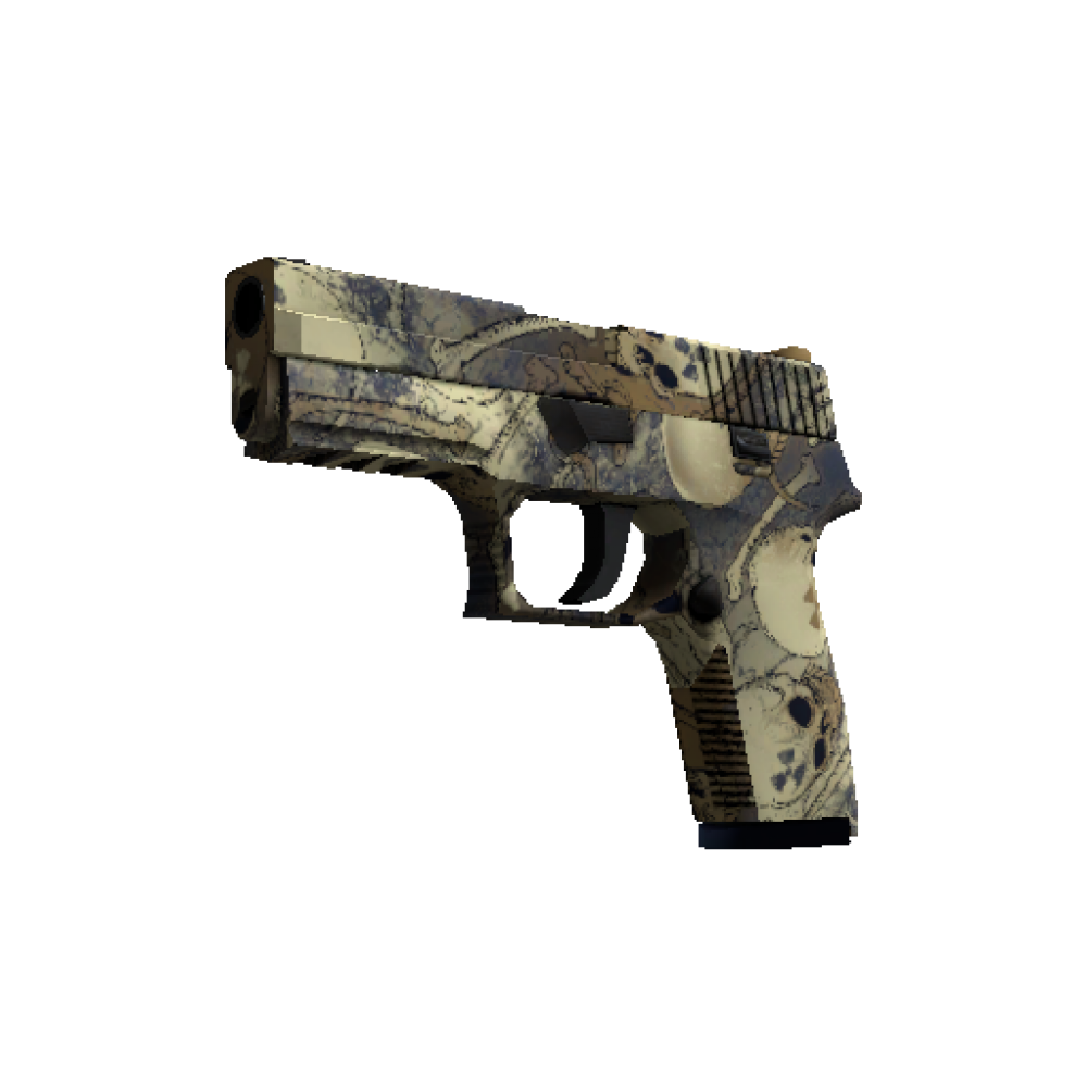 P250 | Contamination (Minimal Wear)