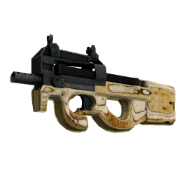 P90 | Shapewood (Well-Worn)