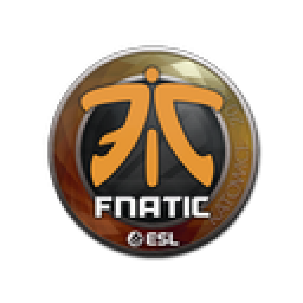 Sticker | fnatic | Katowice 2019