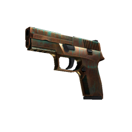 StatTrak™ P250 | Verdigris (Minimal Wear)