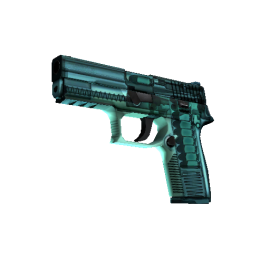 P250 | X Ray (Minimal Wear)