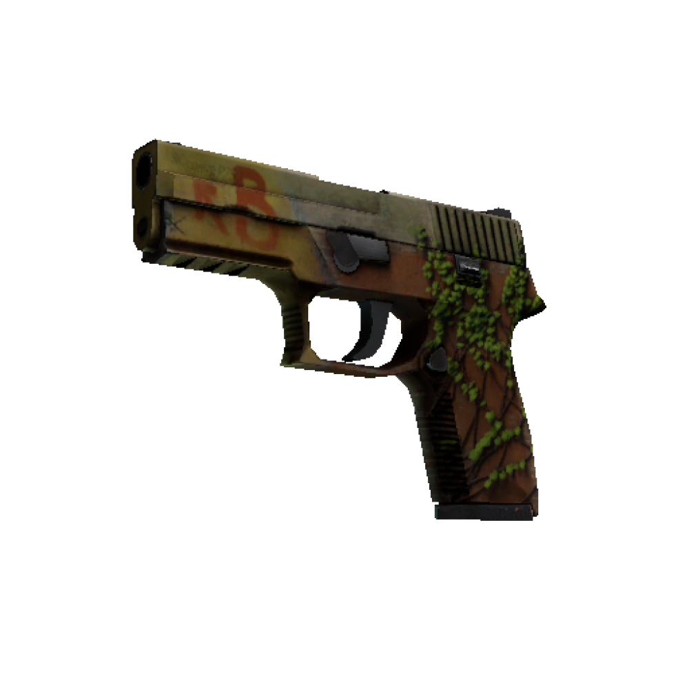 StatTrak™ P250 | Inferno (Battle-Scarred)