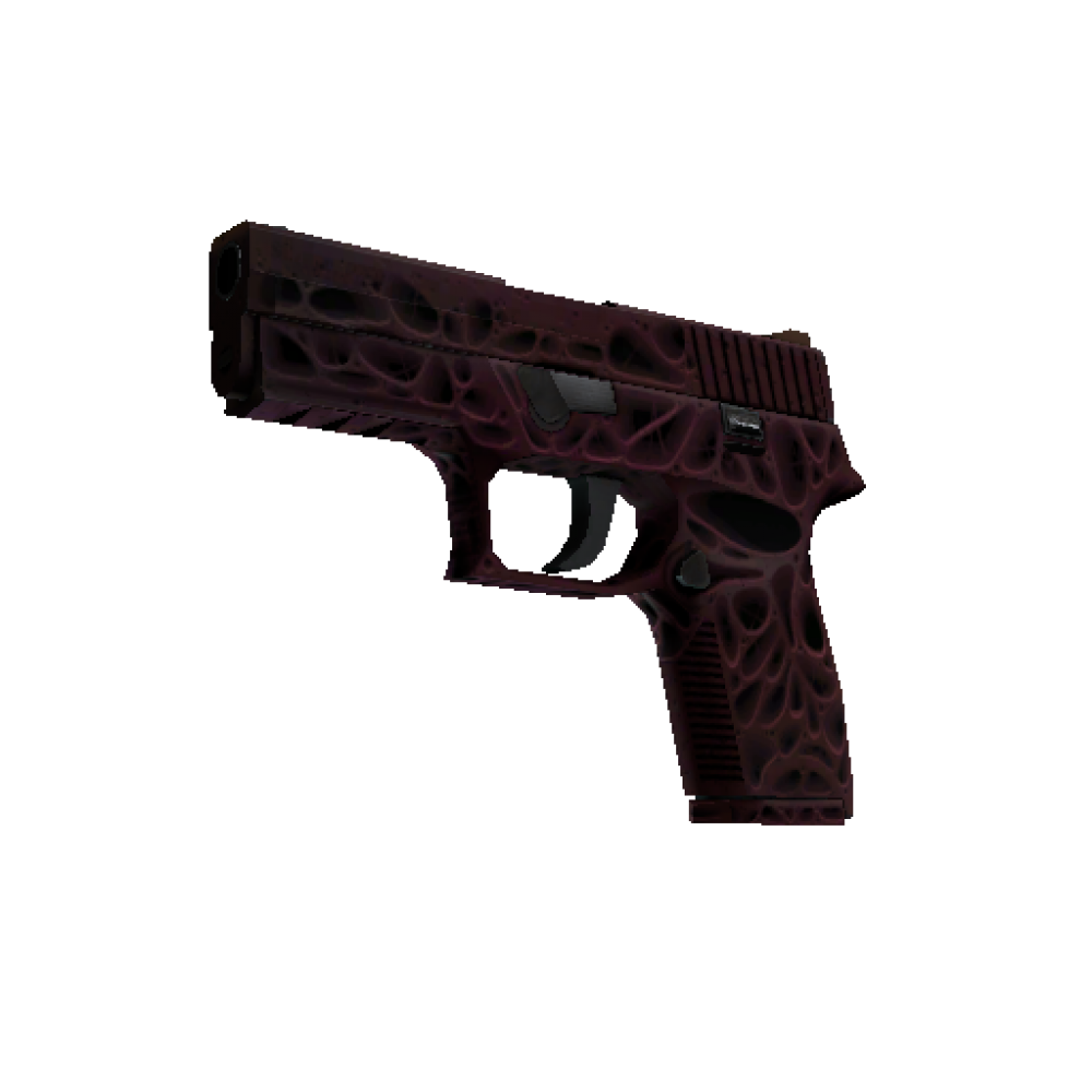 StatTrak™ P250 | Contaminant (Minimal Wear)