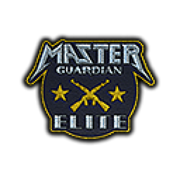 Patch | Metal Master Guardian Elite