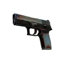 P250 | Cyber Shell (Well-Worn)